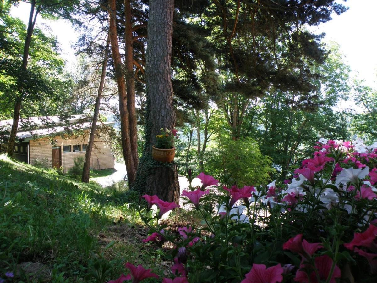 Le Grand Val Acomodação com café da manhã Lavastrie Exterior foto